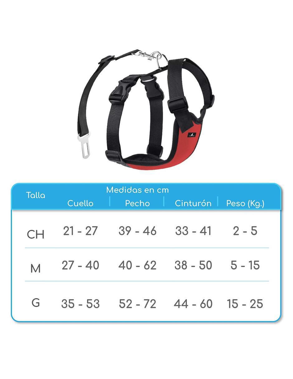 Mascretta mod 01