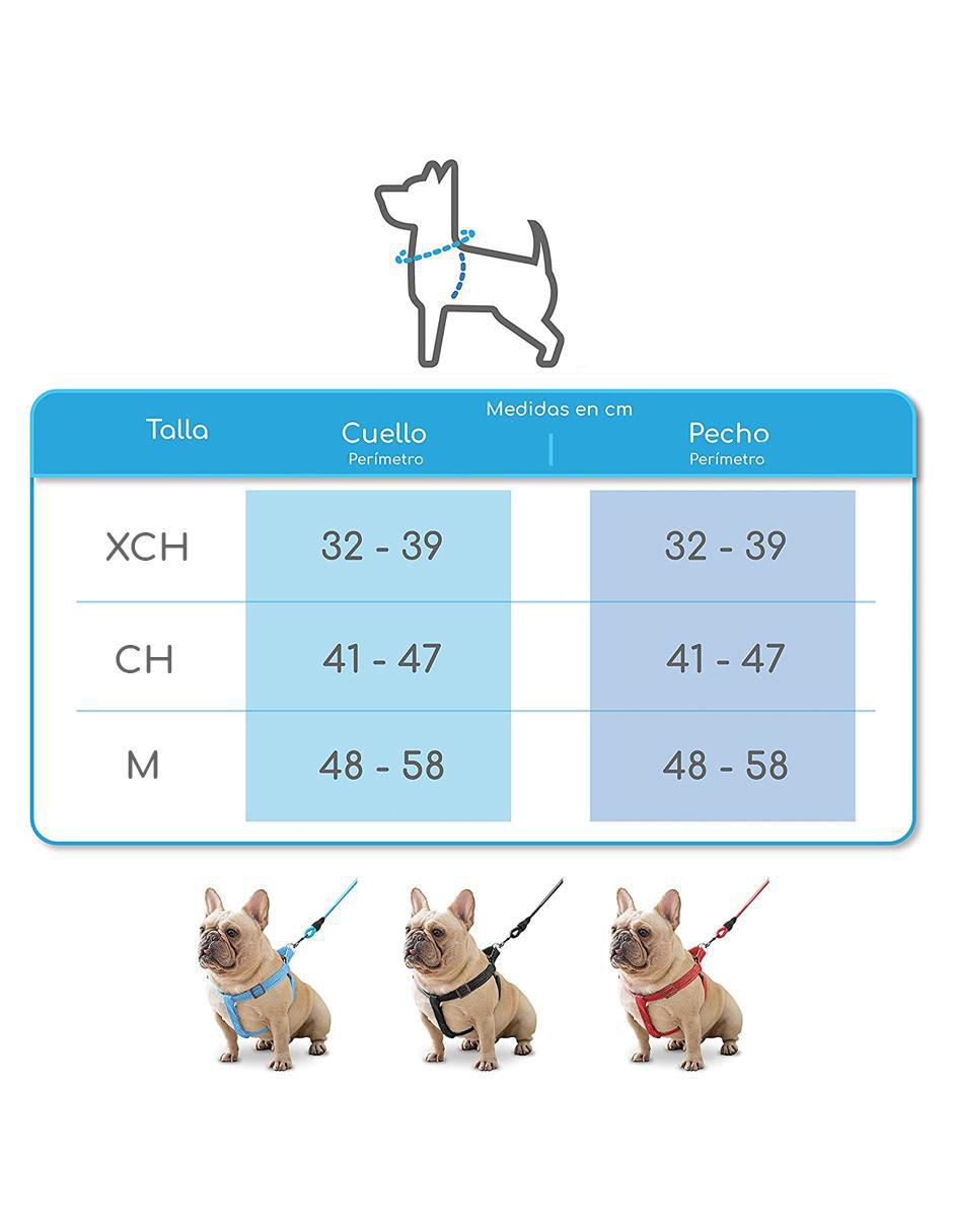 Cadena para perro 8