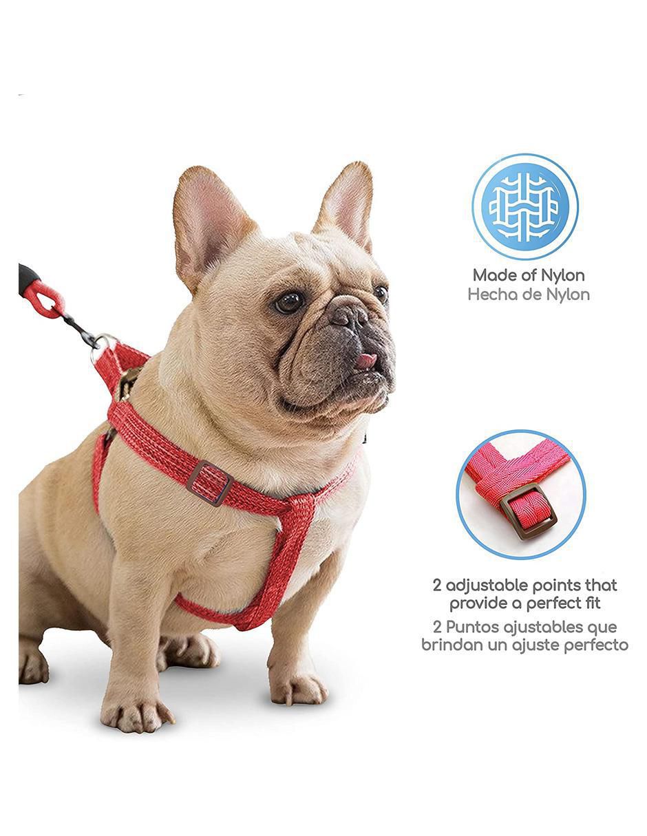 Cadena para perro 3