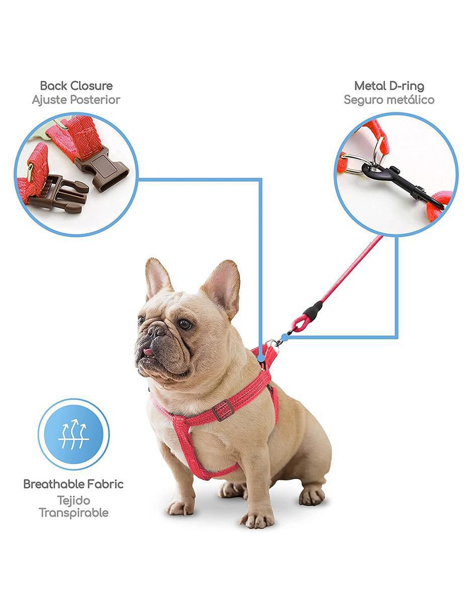 Cadena para perro 4