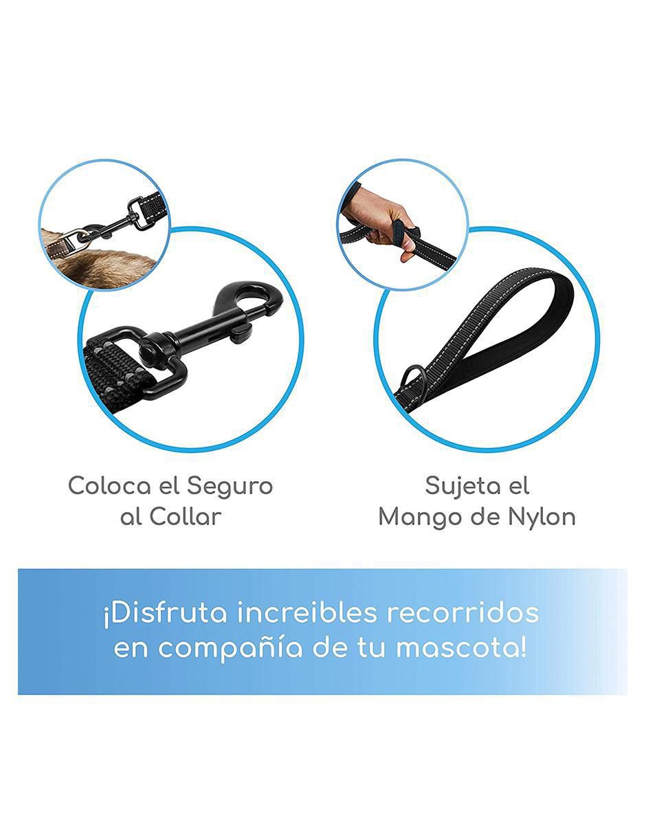 Correa de paseo para perro 6