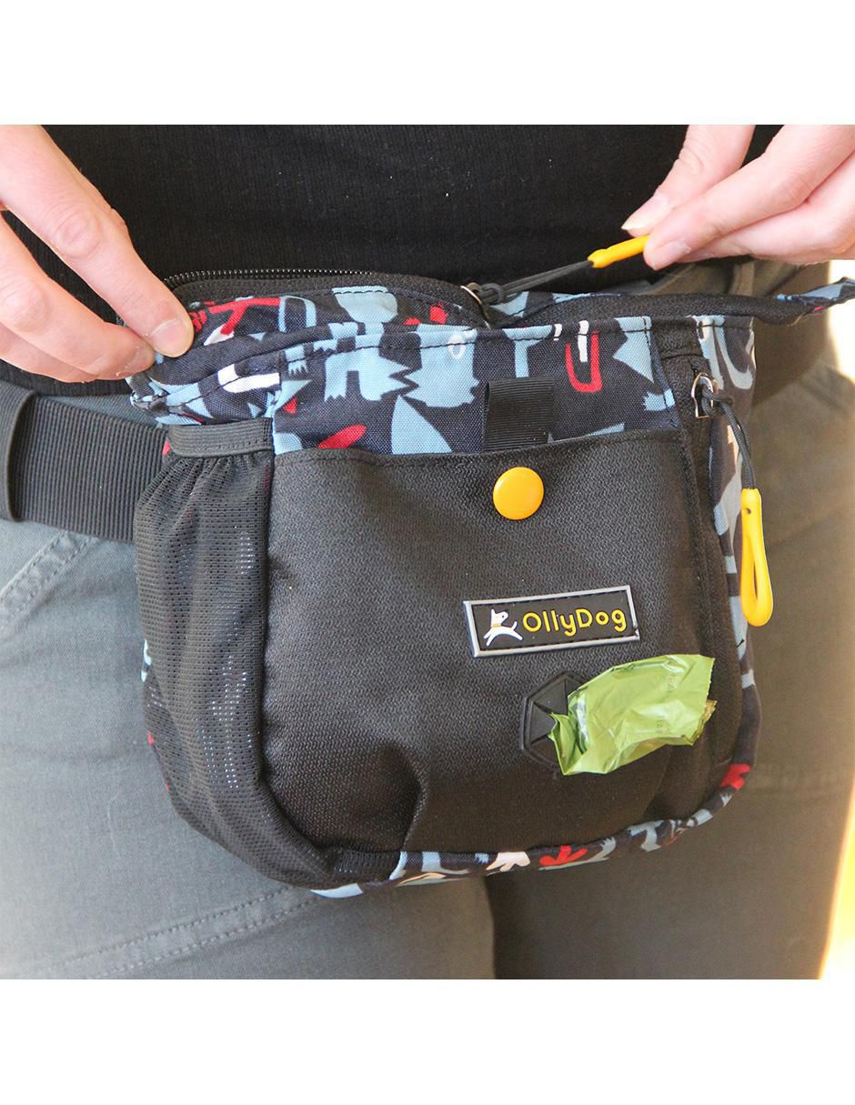 Mochila para perro Backcountry Monkey Business 5
