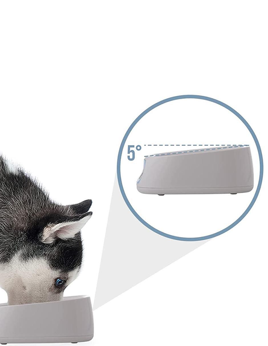 Plato para mascota 2 kg 2