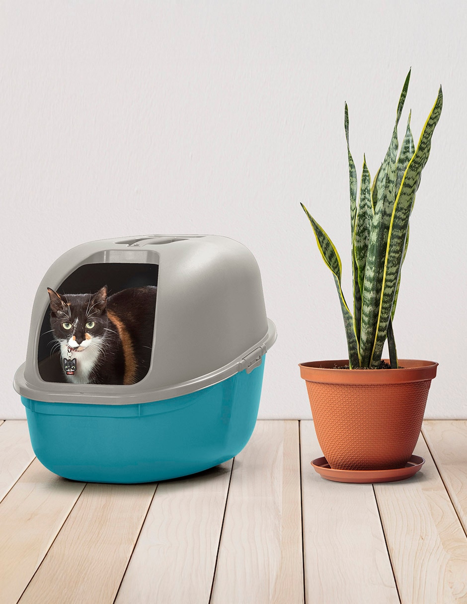 Arenero para gato 8