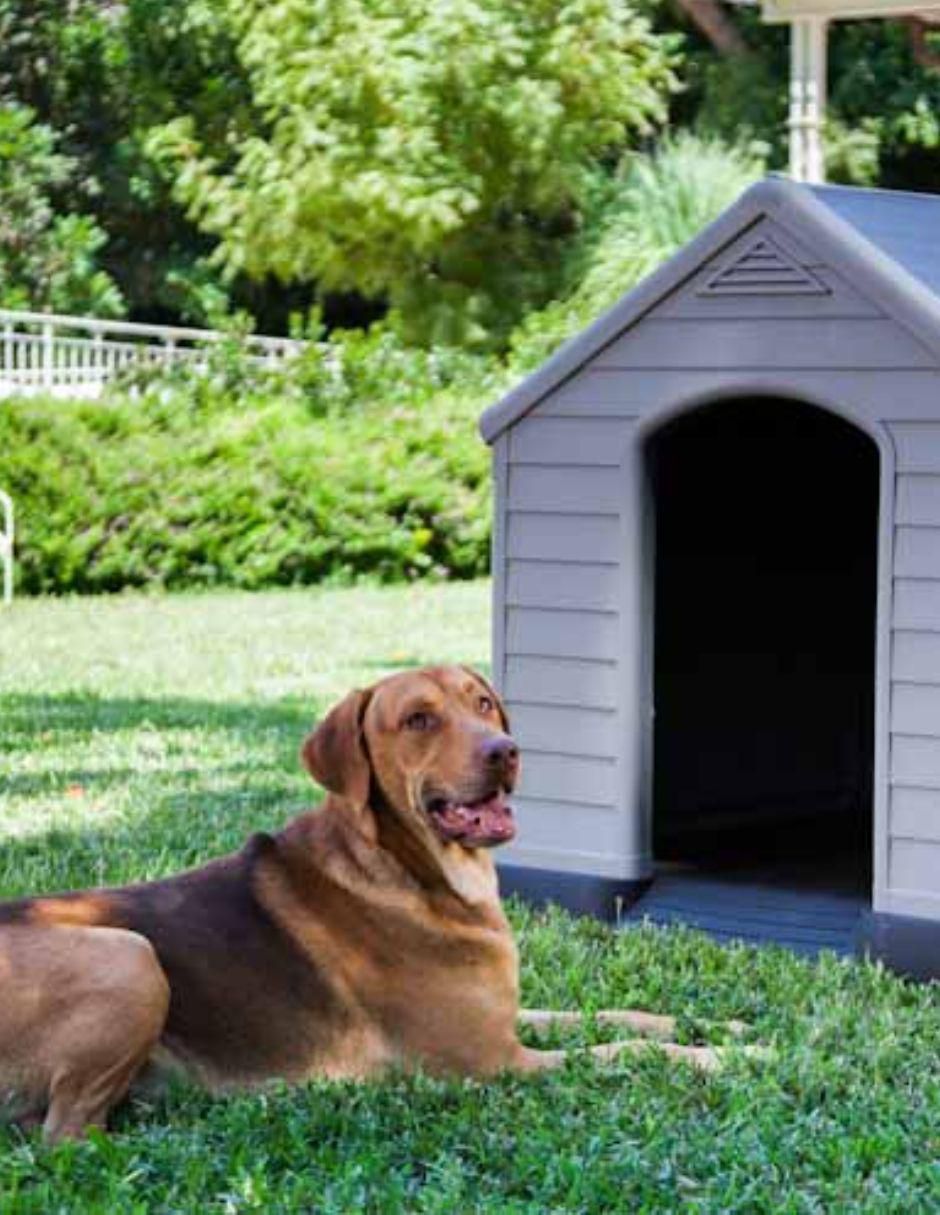 Casa para perro 2