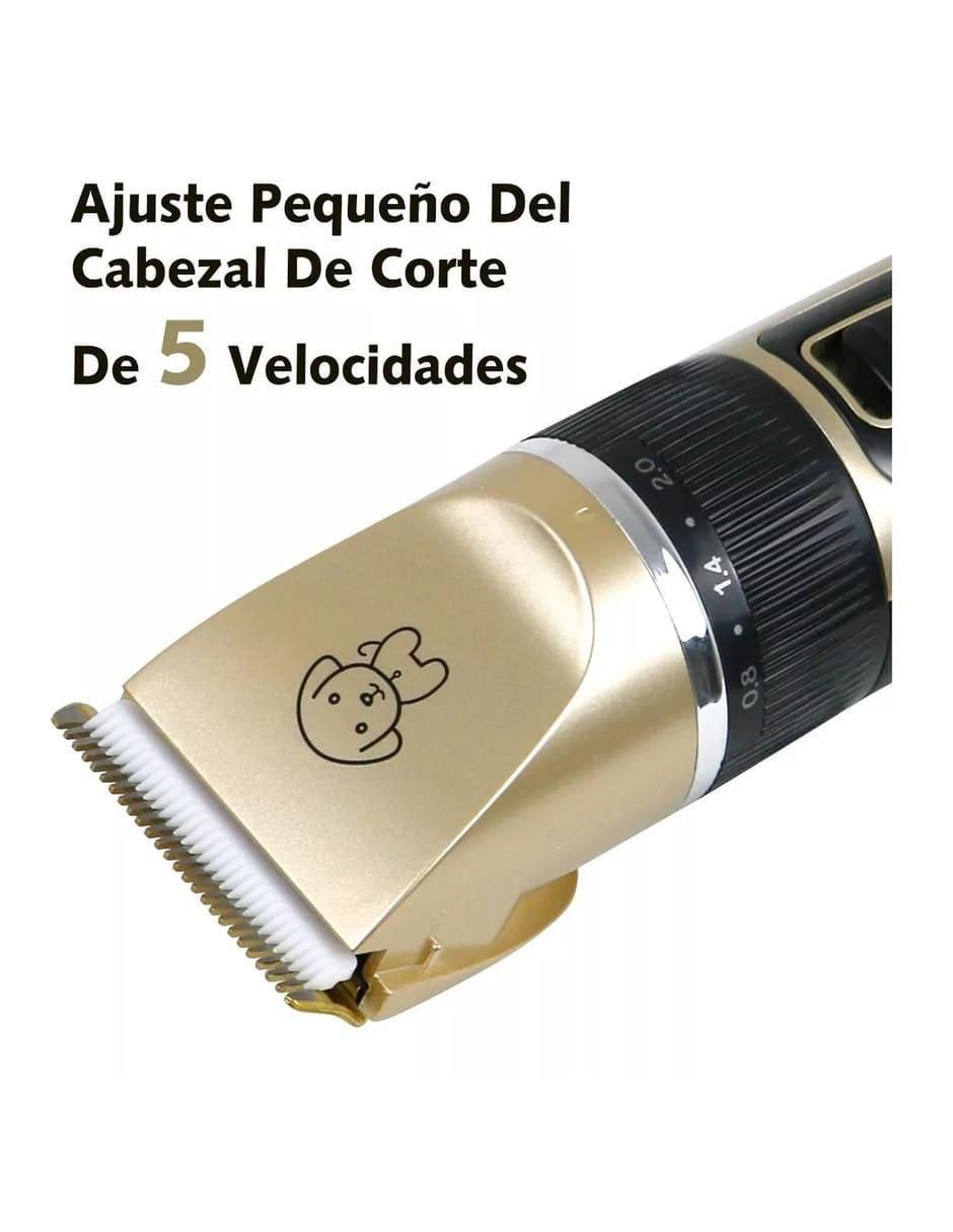 Rasuradora para perro 2