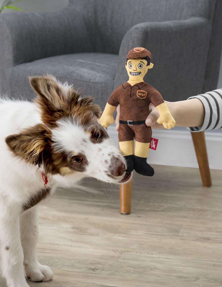 Peluche para perro 2