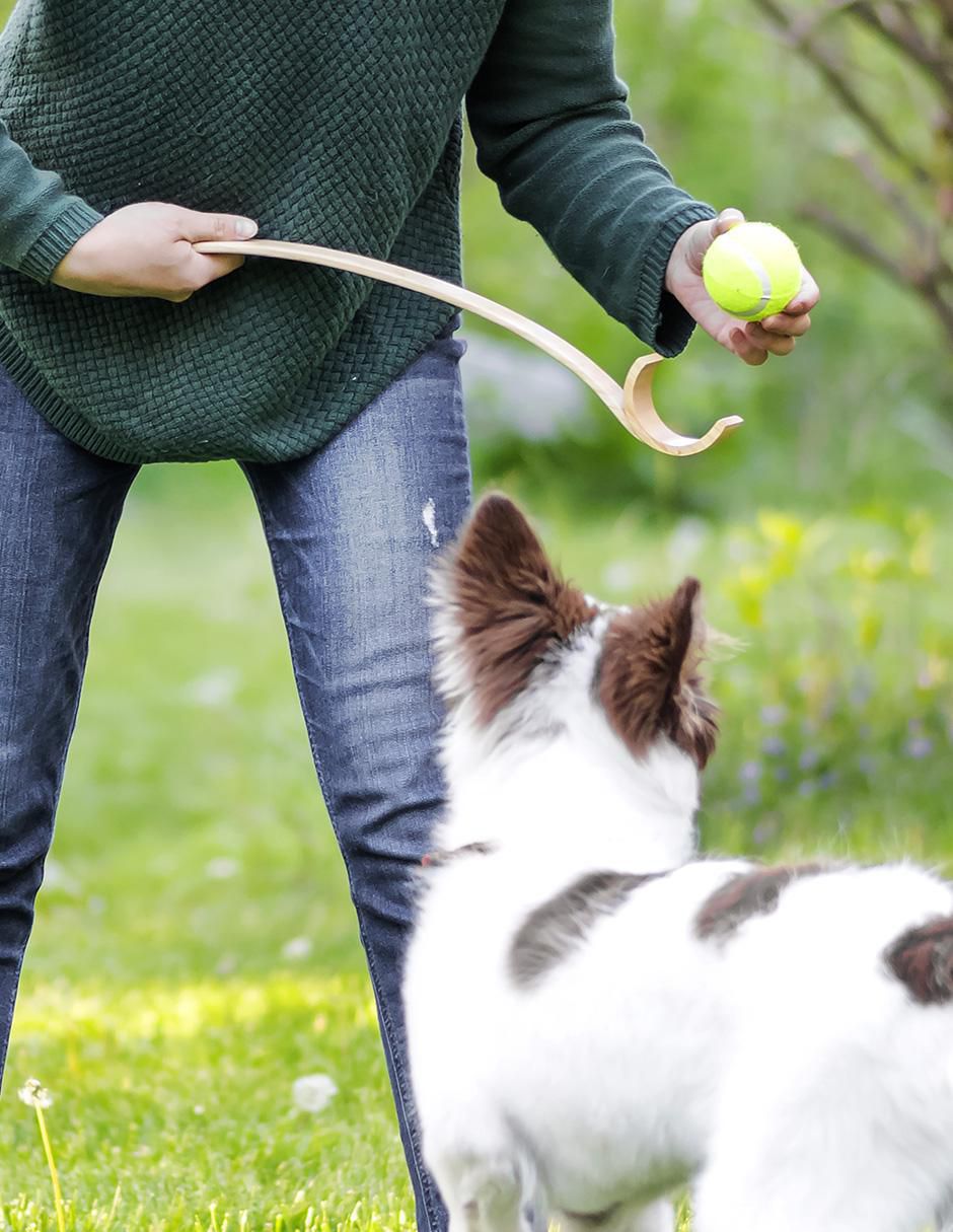 Lanzadora de pelotas para perro 3