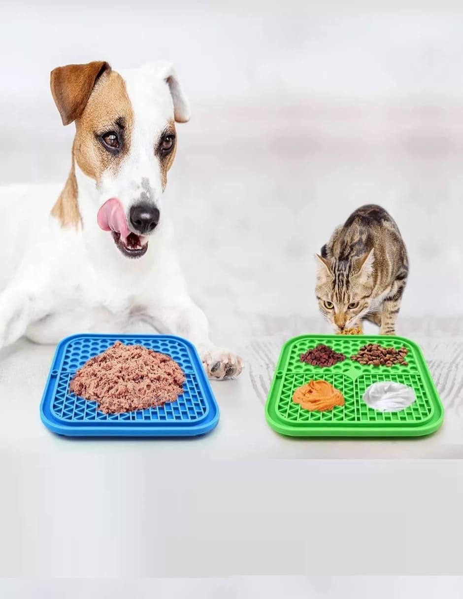Set Plato para perro y gato 3