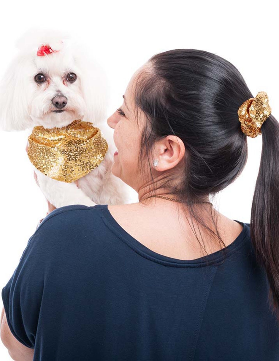 Pañuelo para perro