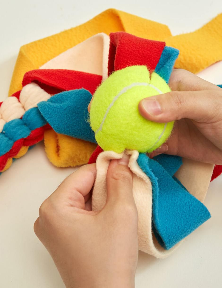 Kit de juguetes para perro 3