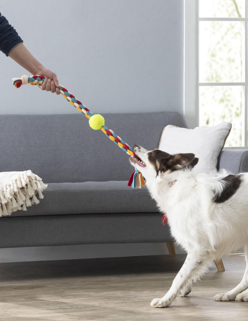 Kit de juguetes para perro 6