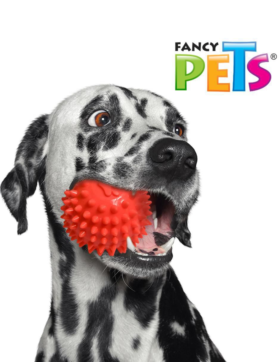 Pelota para perro 3
