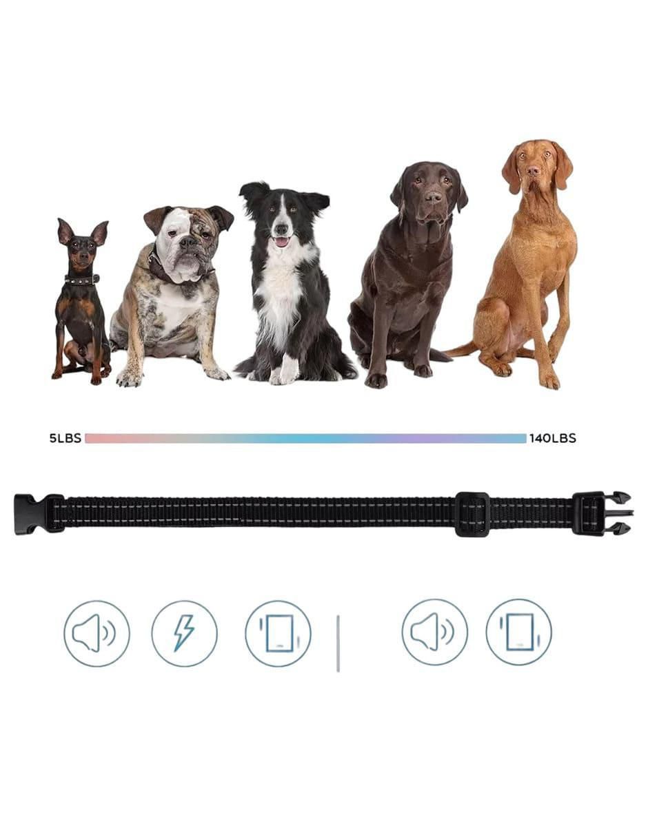 Collar de plástico para perro 2