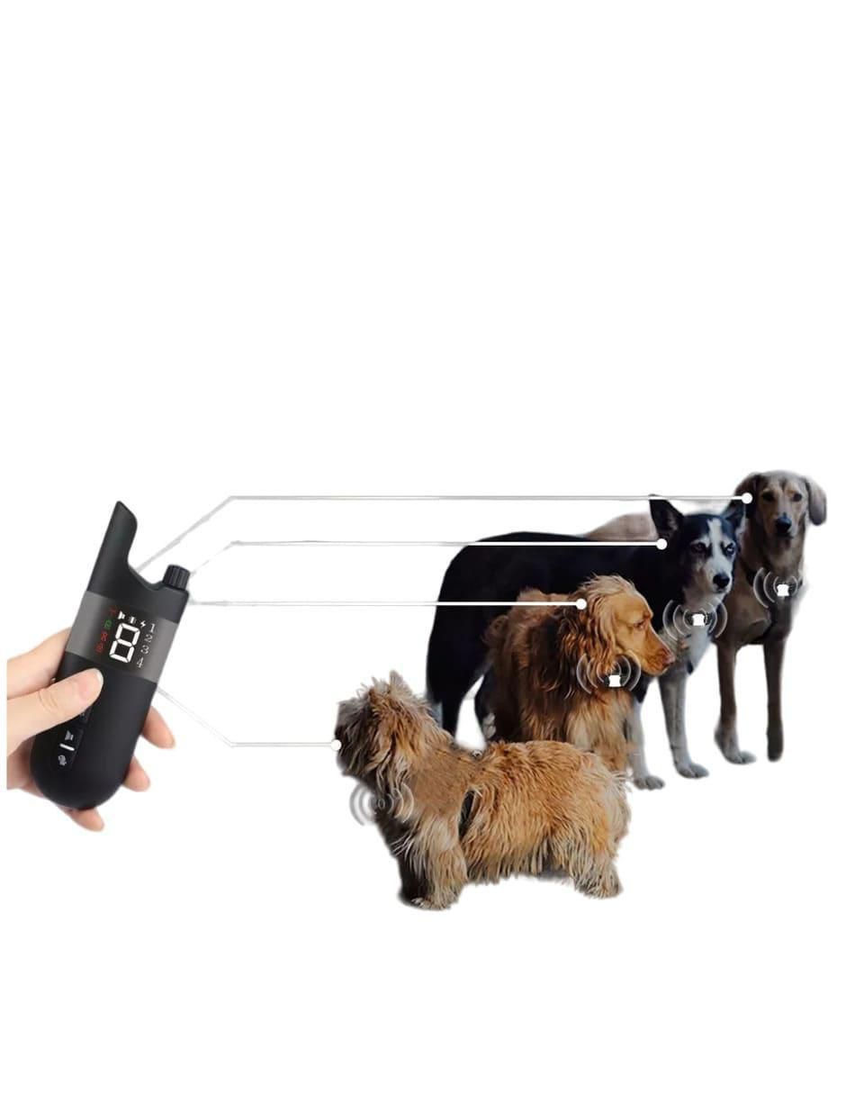 Collar de plástico para perro 3