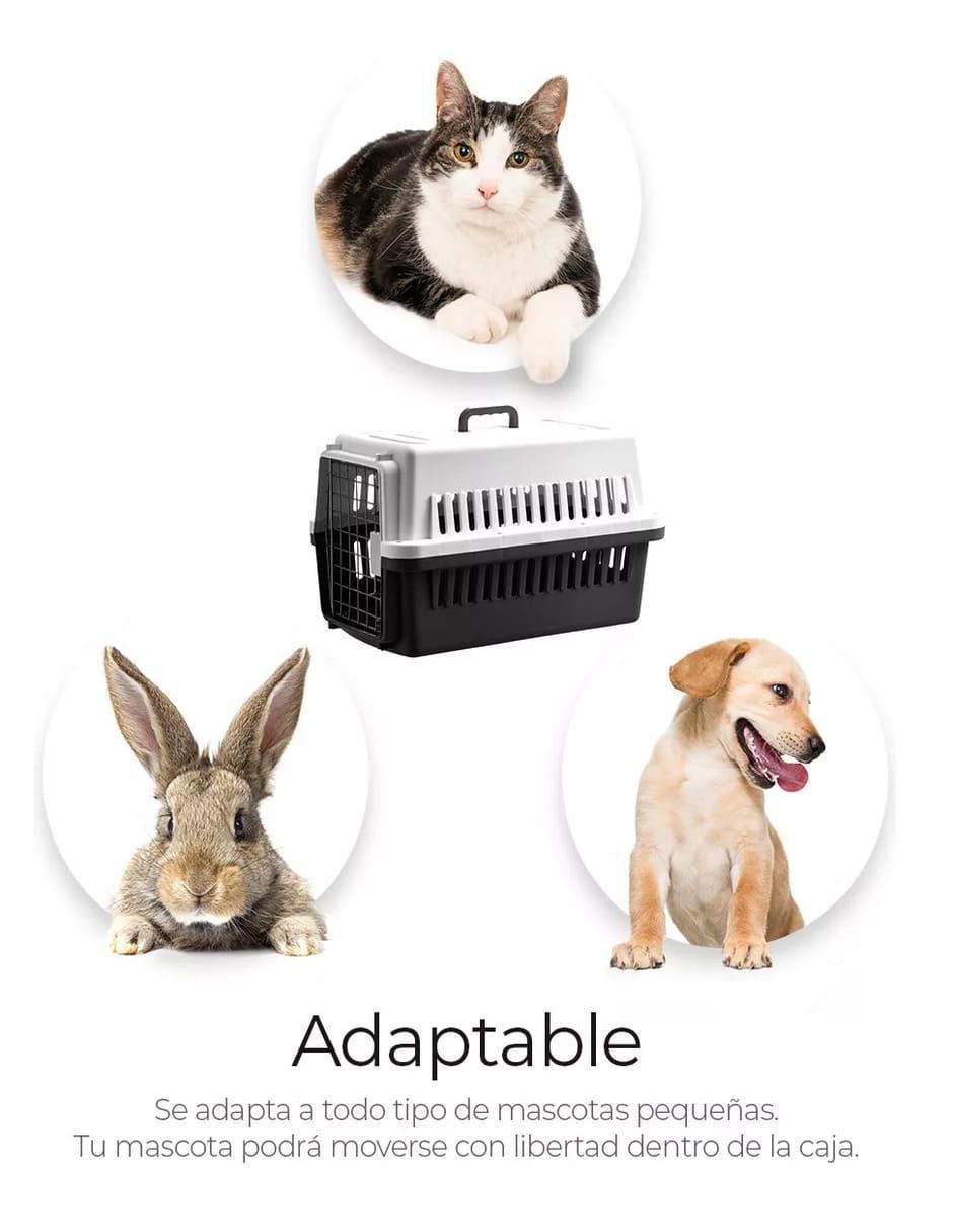 Casa para perro y gato 3