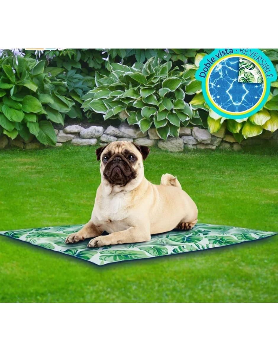 Cama para perro 3