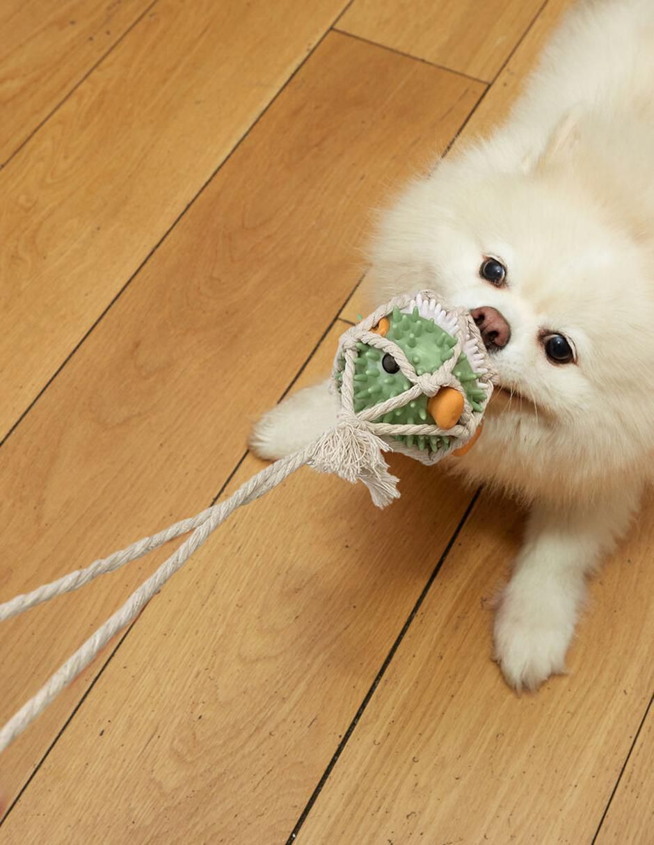 Juguete con cuerda para perro 3