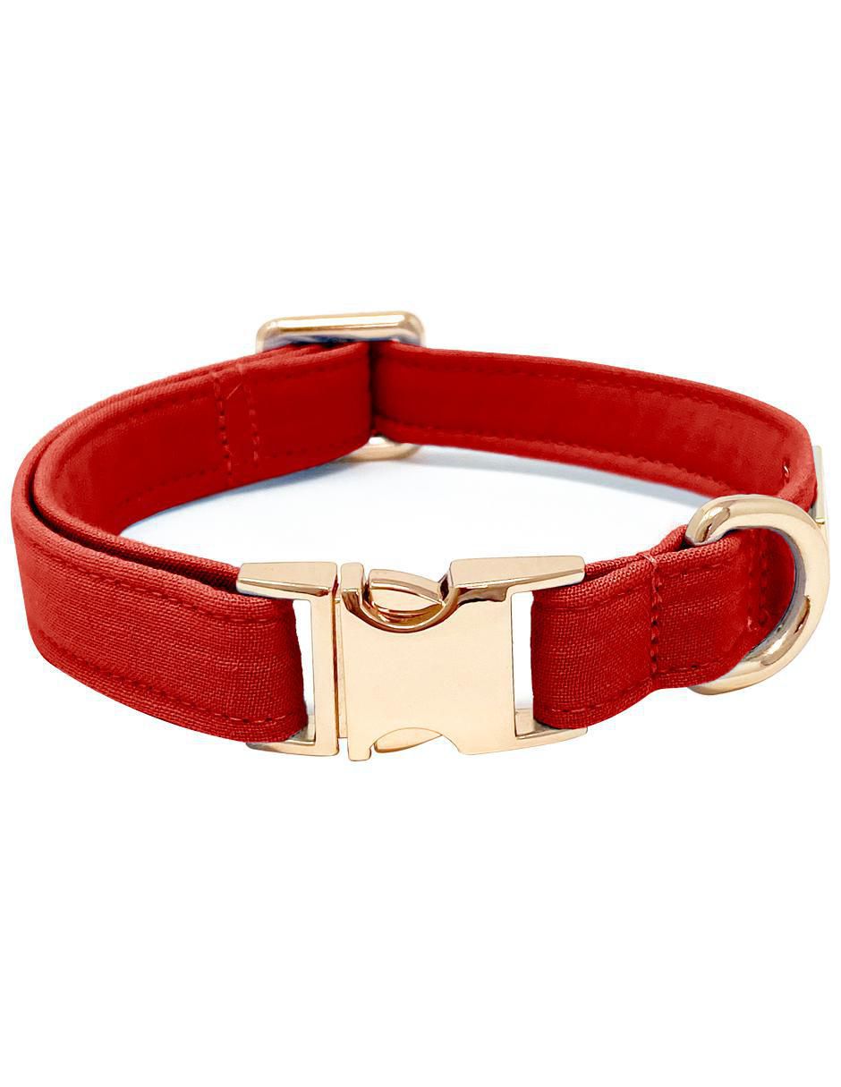 Collar decorativo para perro Collar decorativo para perro