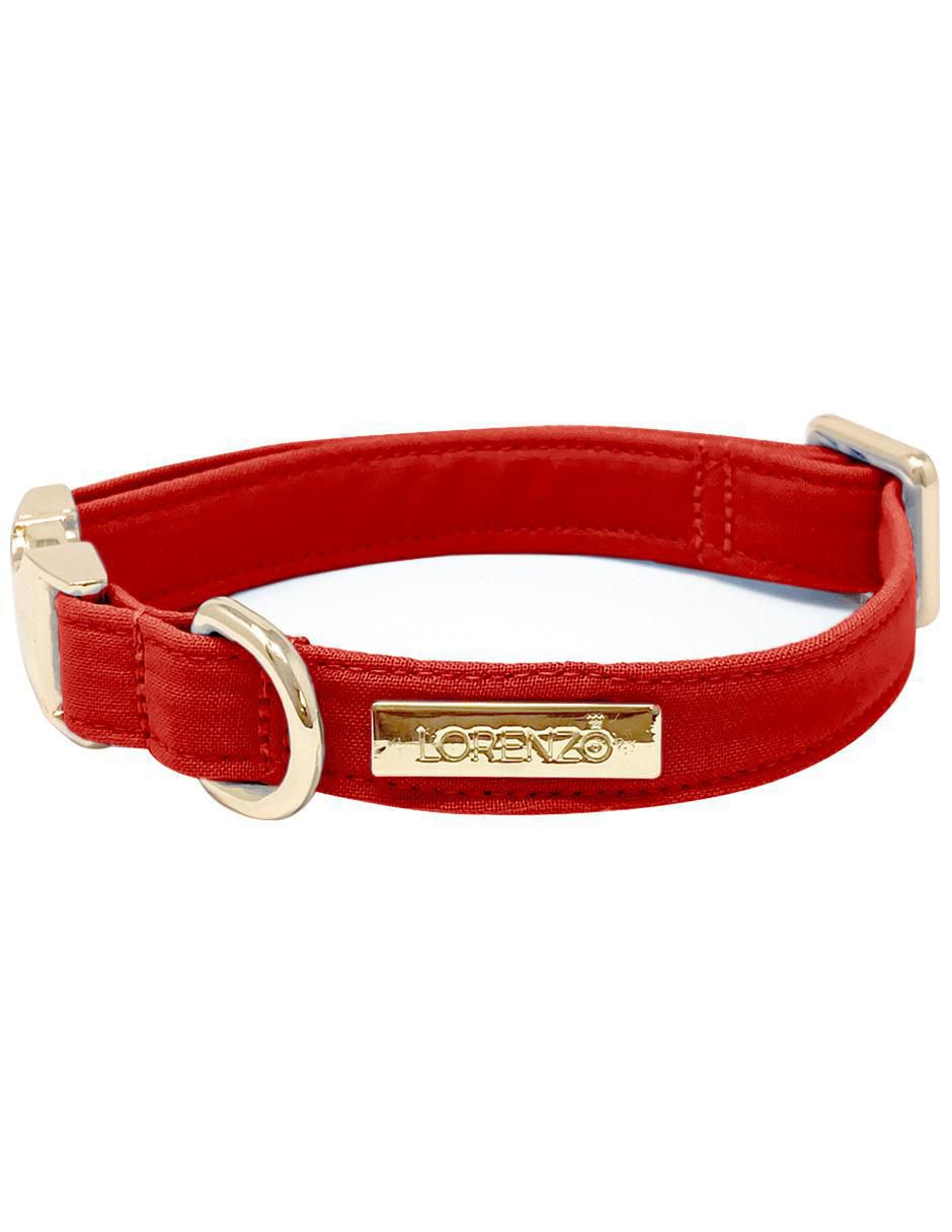 Collar decorativo para perro