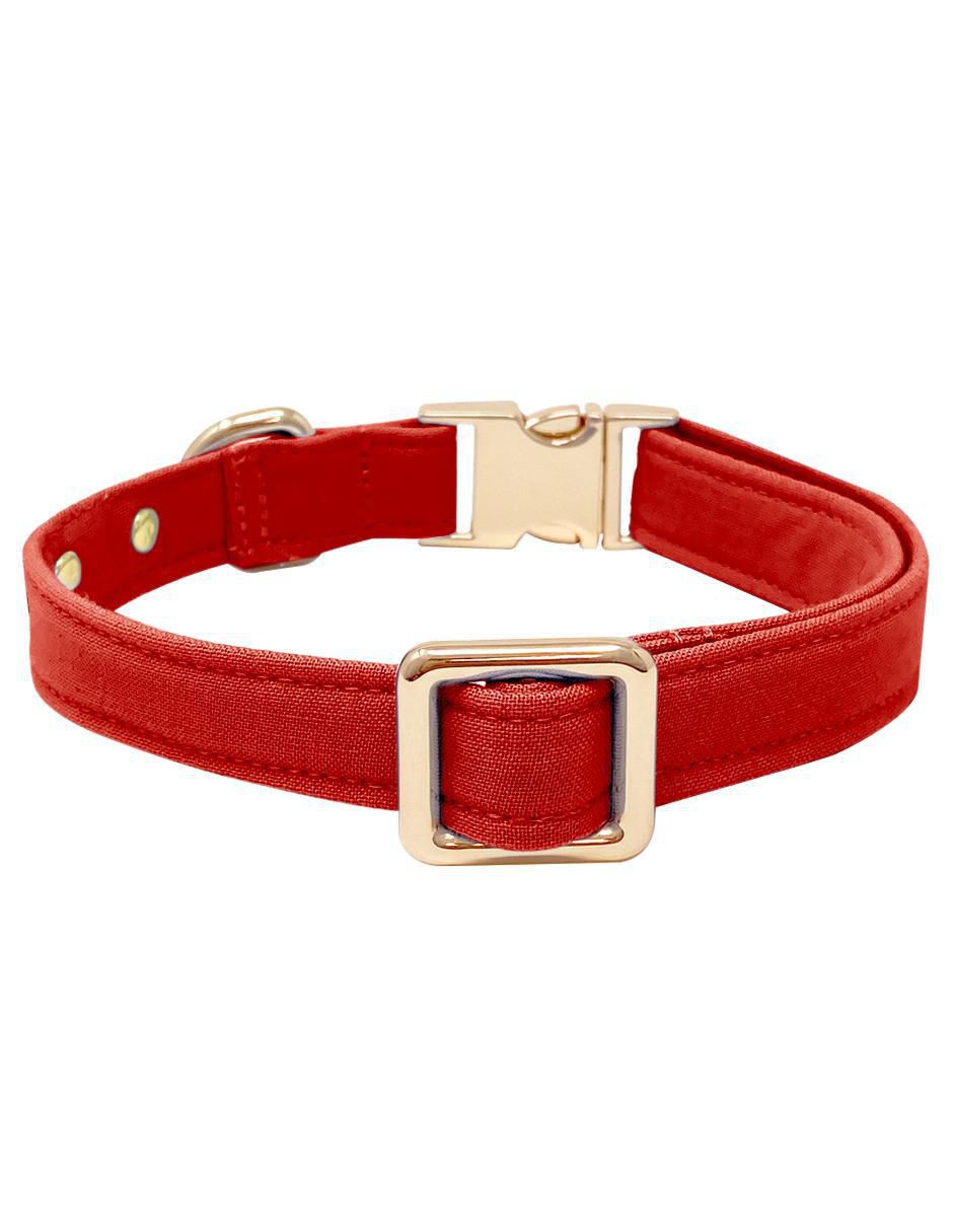 Collar decorativo para perro 2