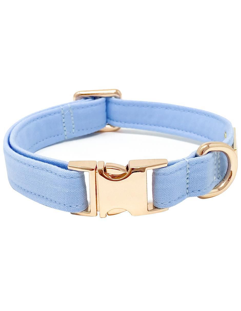 Collar para perro