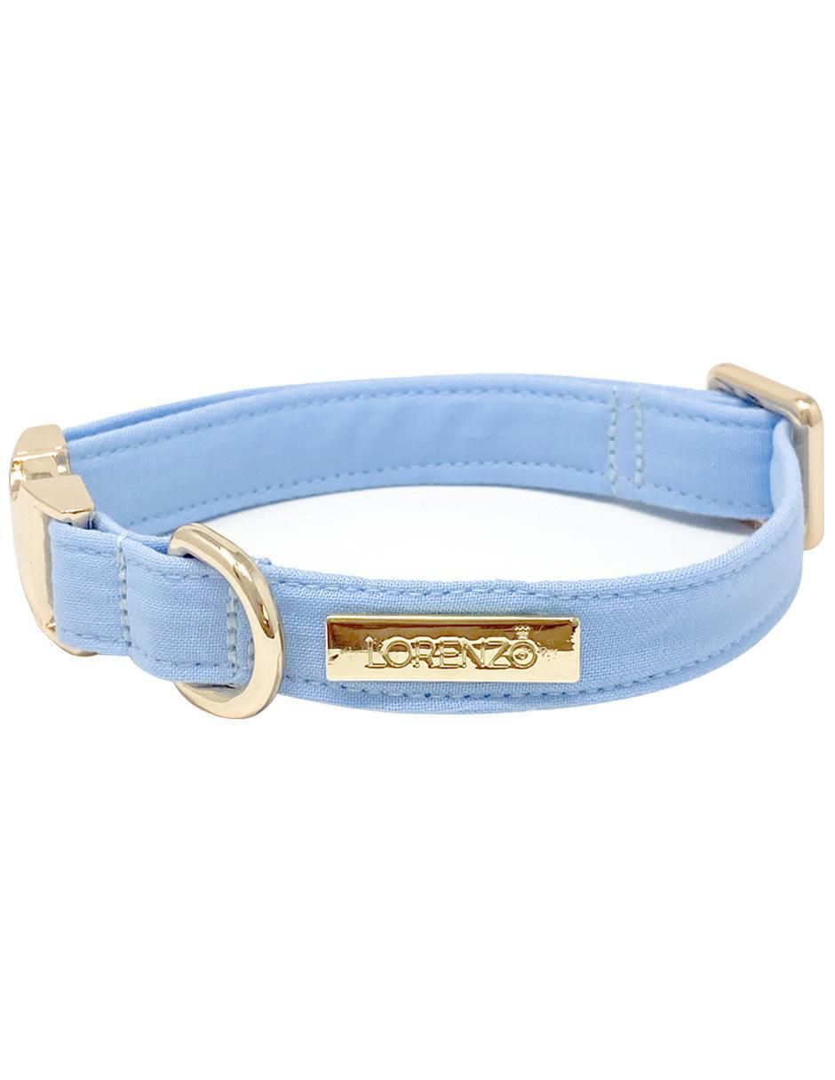 Collar para perro 2