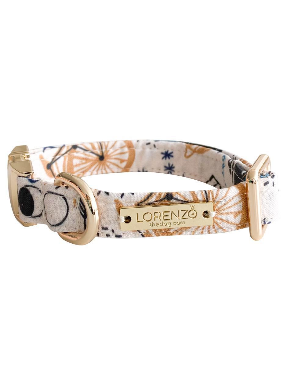 Collar para perro 2