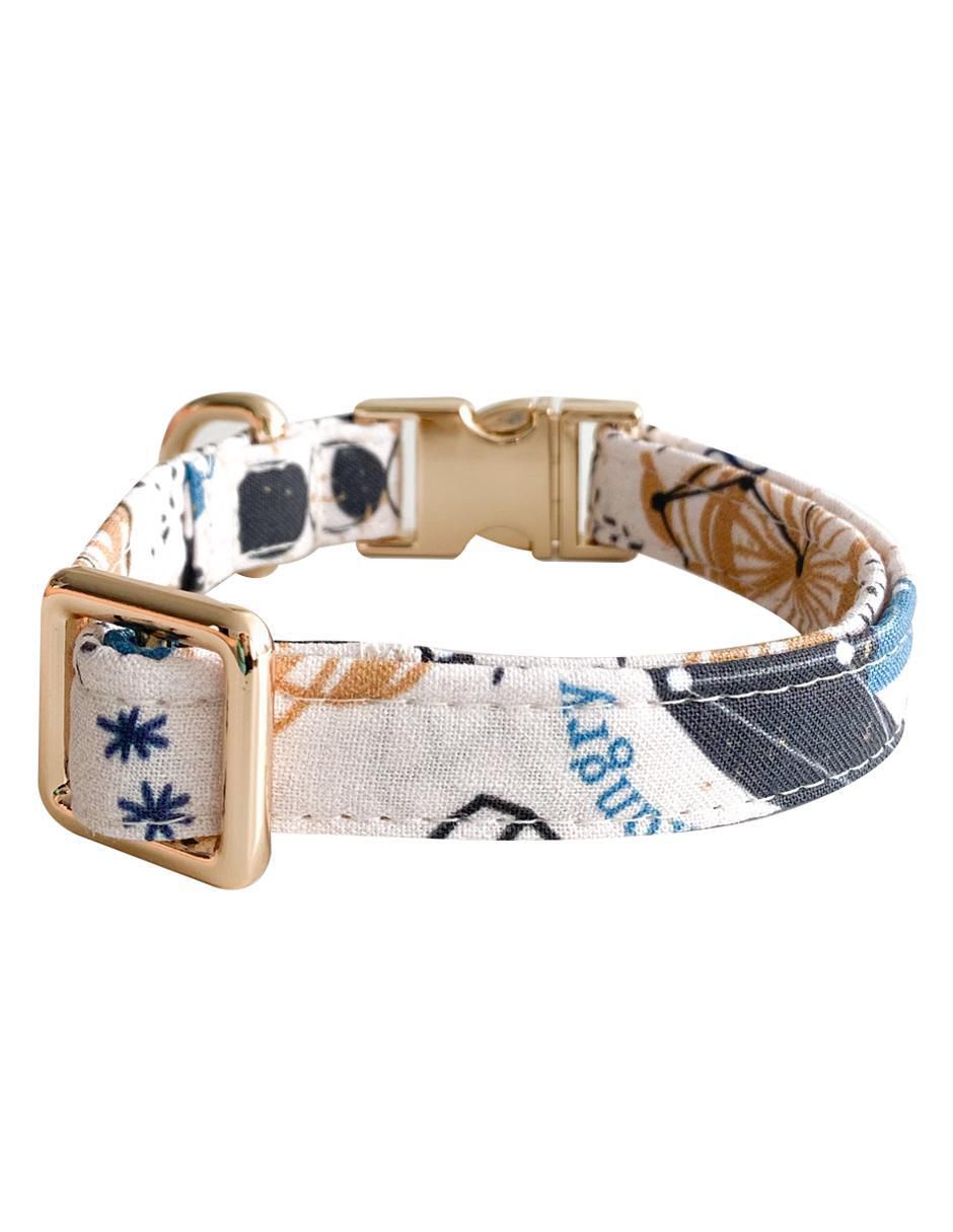 Collar para perro 3