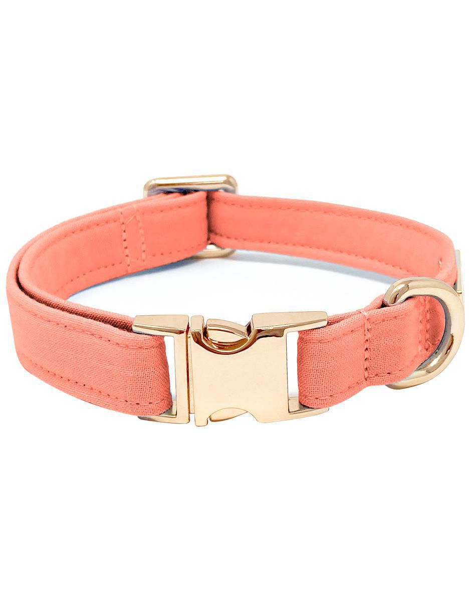 Collar para perro