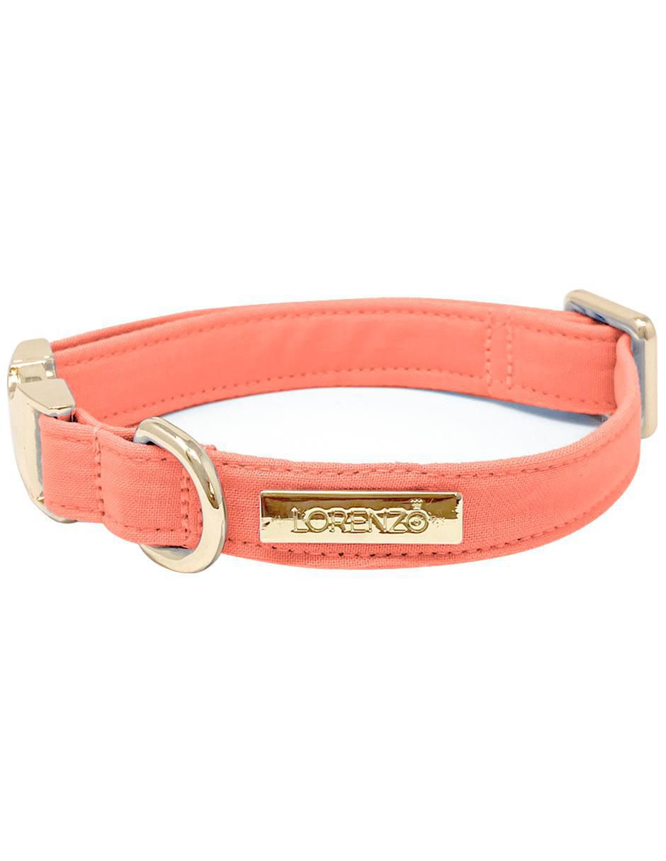 Collar para perro 2