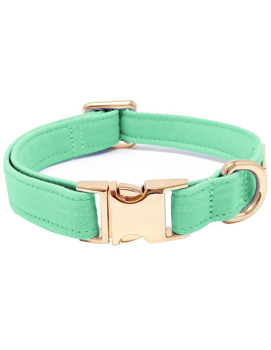 Collar para perro Collar para perro