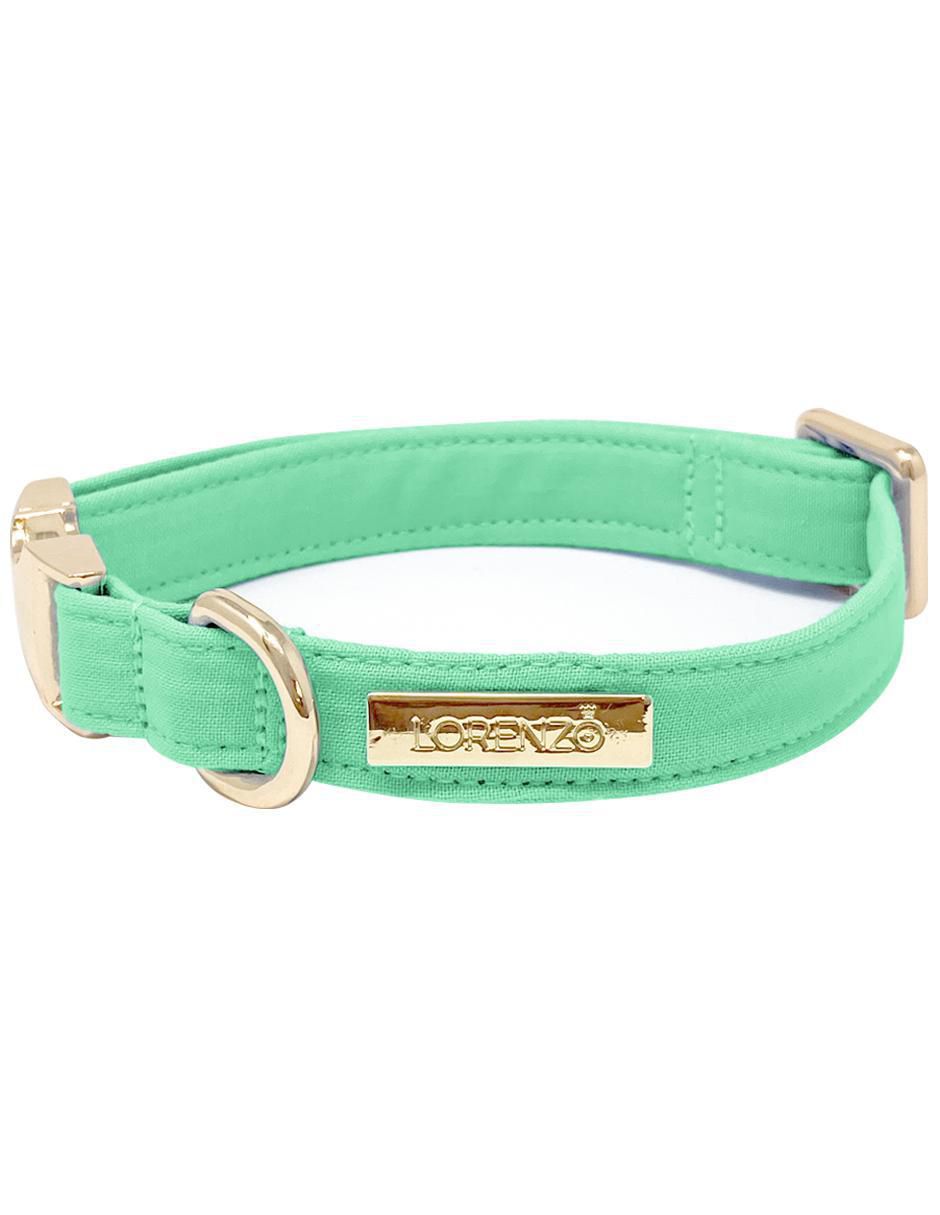 Collar para perro 2