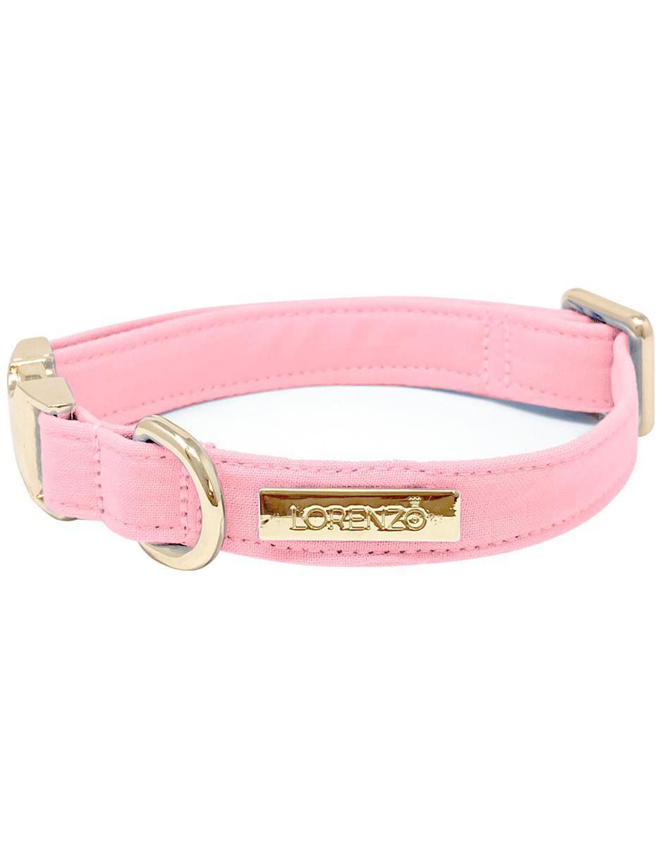Collar para perro 2