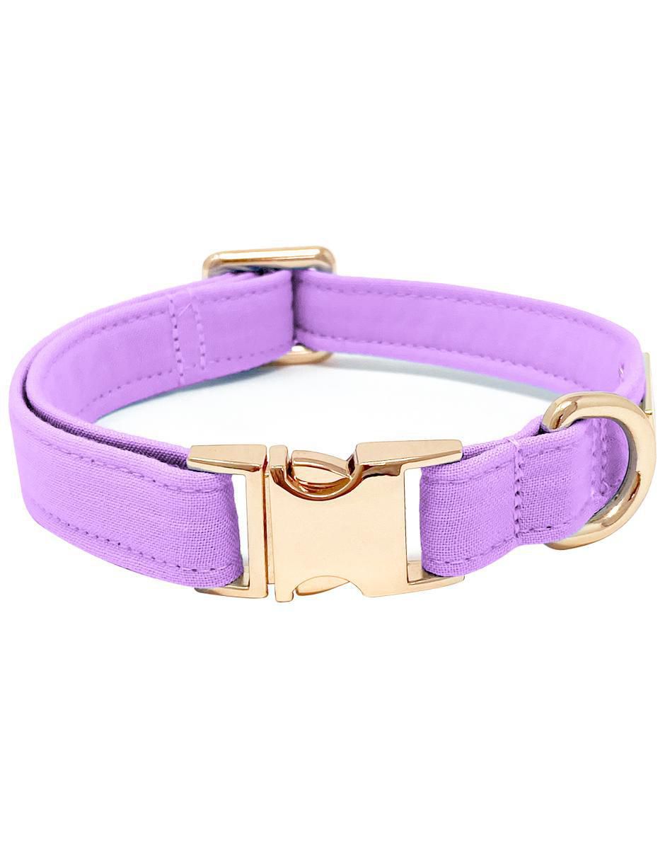 Collar para perro Collar para perro