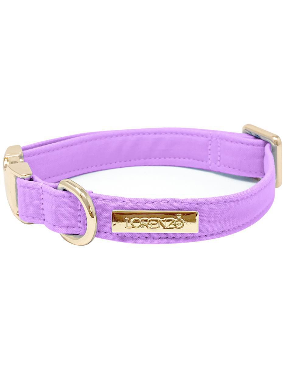 Collar para perro 2