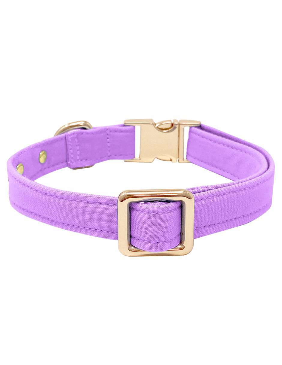 Collar para perro 3