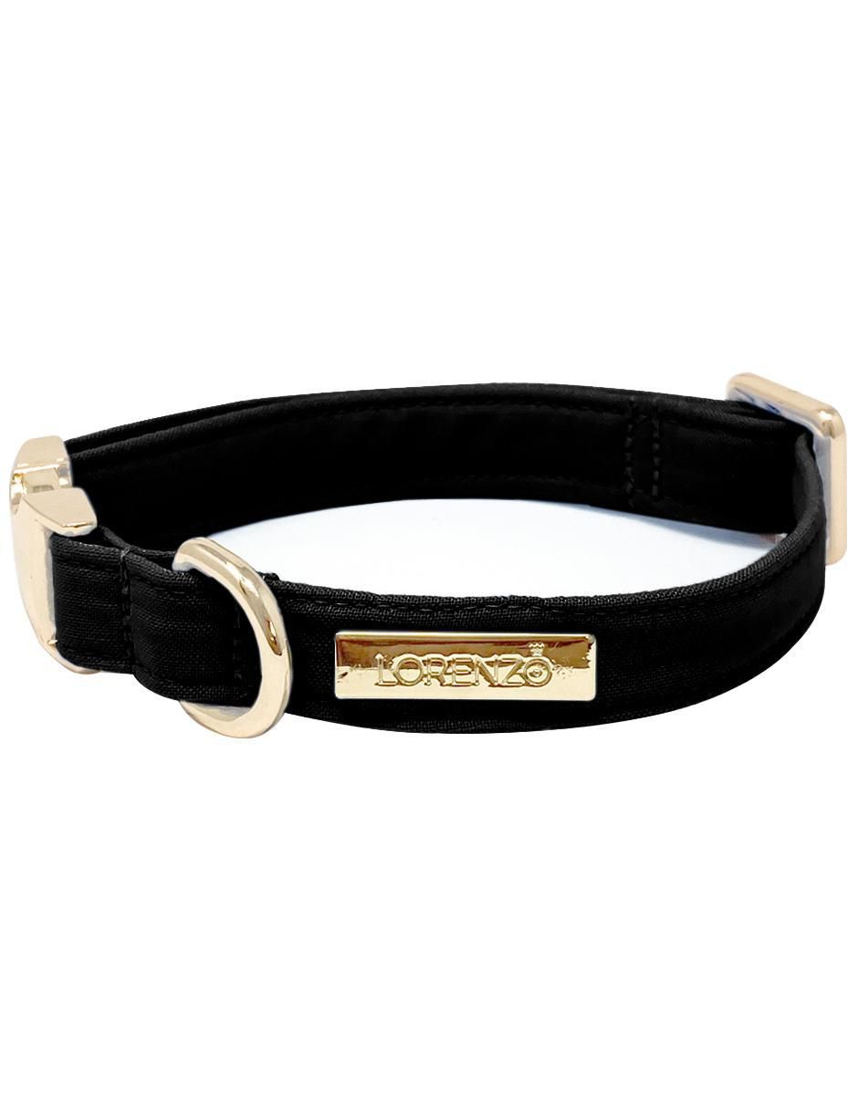 Collar para perro 2