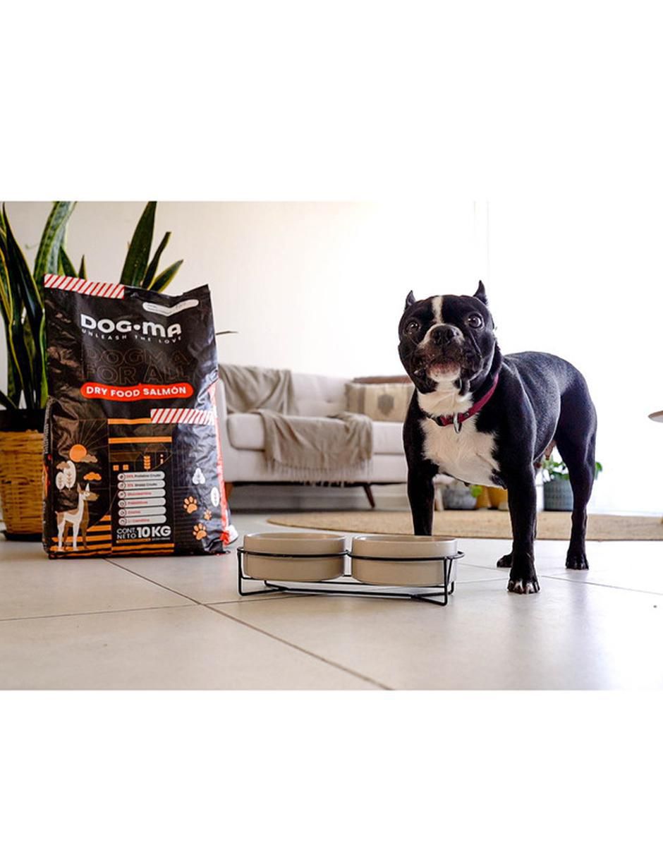 Croqueta de Salmón para perro todas las etapas contenido 10 kg 9