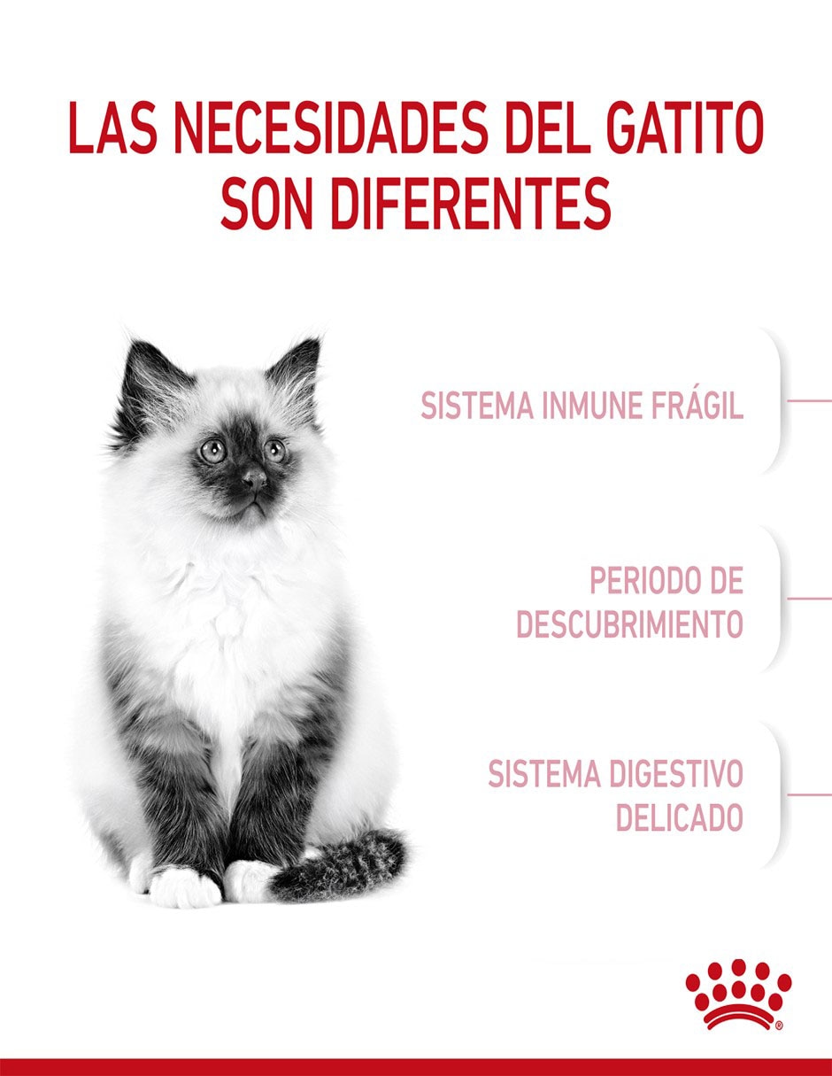 Croqueta para gato etapa cachorro contenido 1.3 kg 6