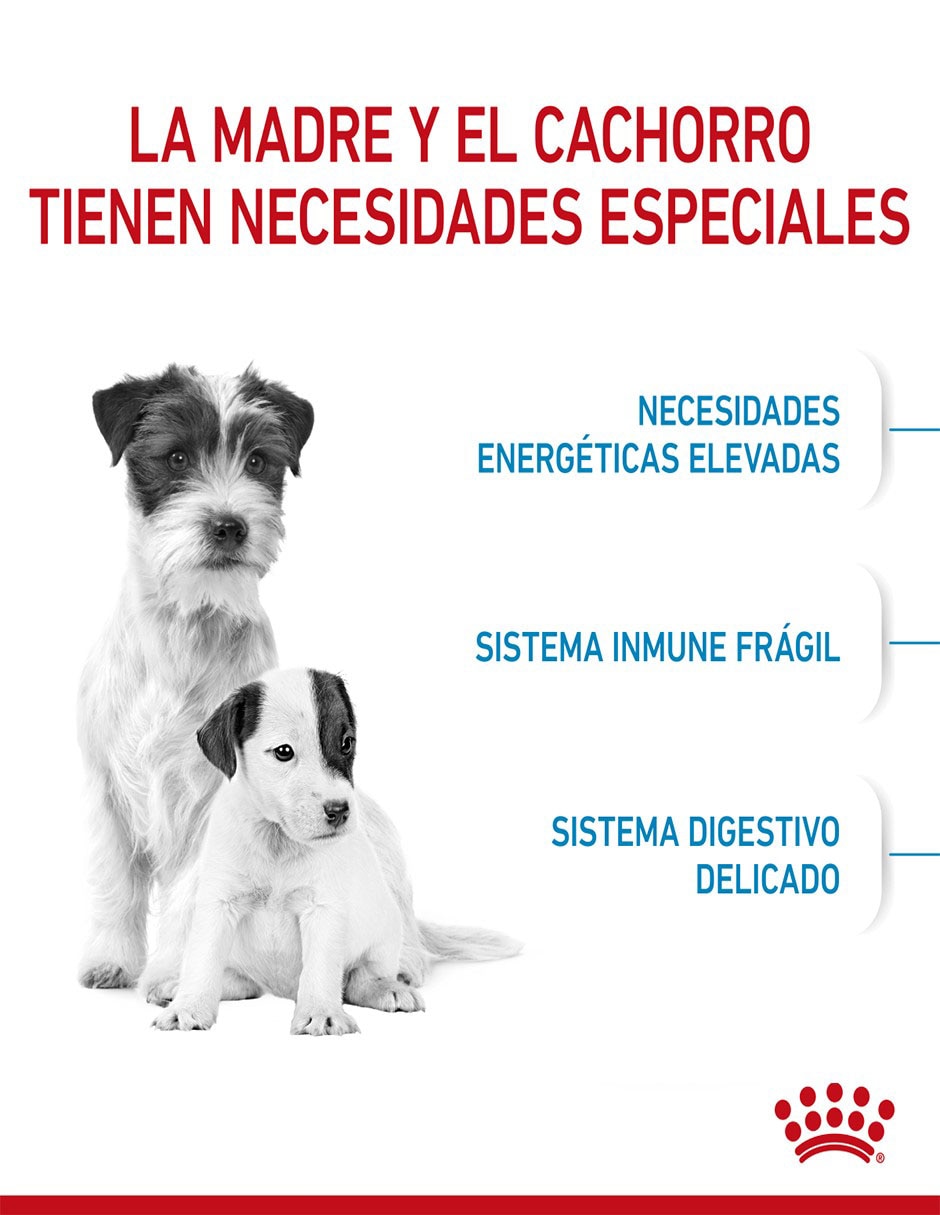Croqueta original para perro raza pequeña etapa cachorro contenido individual 1.1 kg 6