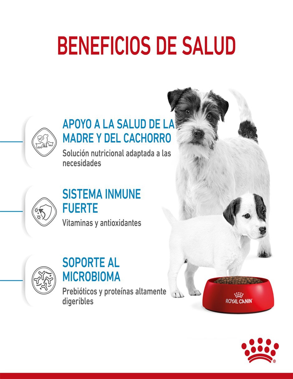 Croqueta original para perro raza pequeña etapa cachorro contenido individual 1.1 kg 7
