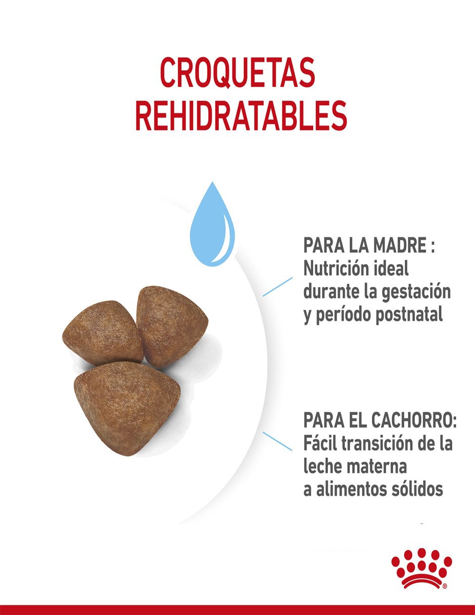 Croqueta original para perro raza pequeña etapa cachorro contenido individual 1.1 kg 8