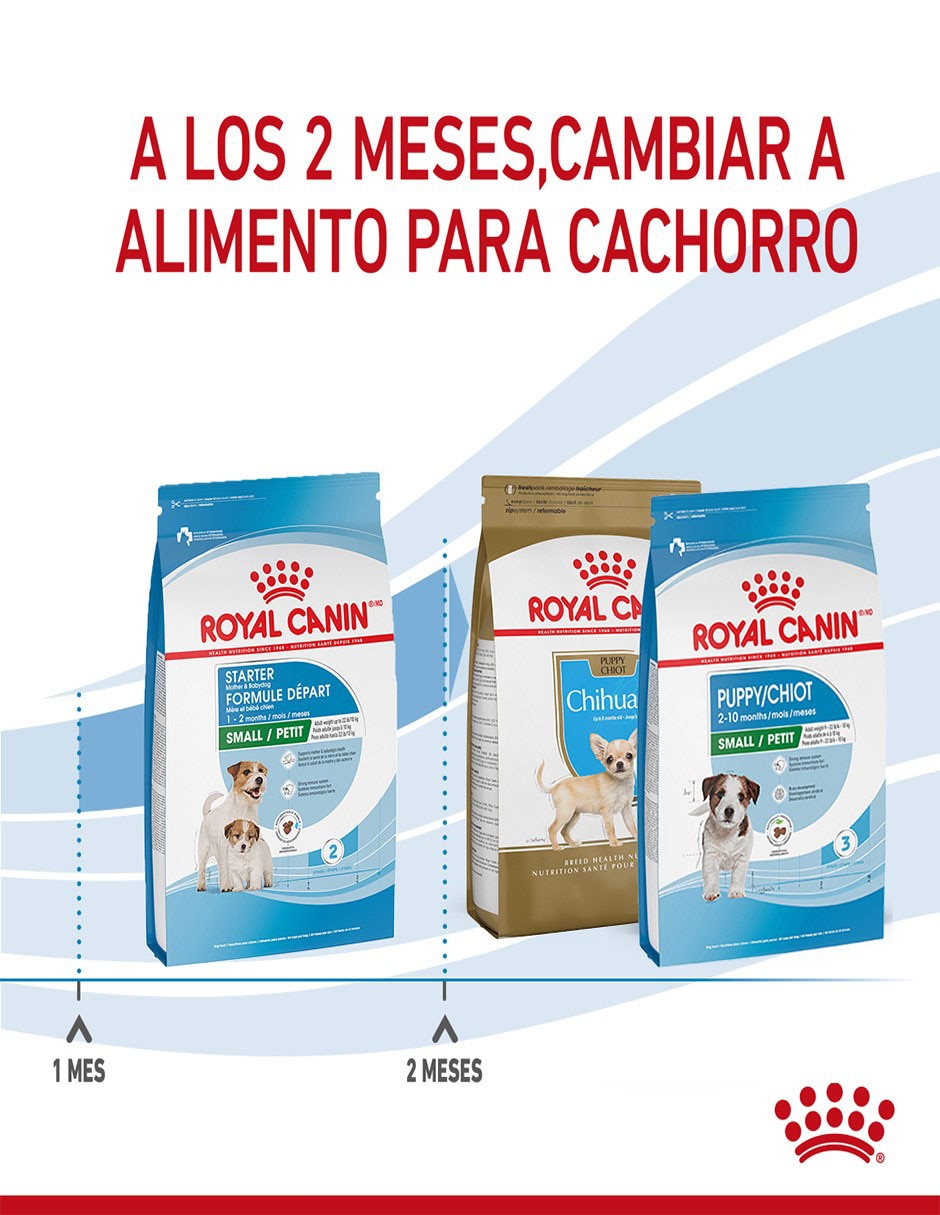 Croqueta original para perro raza pequeña etapa cachorro contenido individual 1.1 kg 9