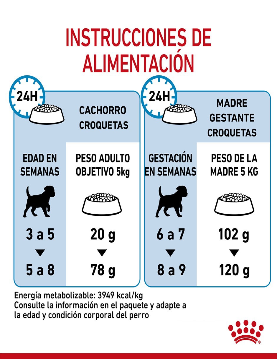 Croqueta original para perro raza pequeña etapa cachorro contenido individual 1.1 kg 11