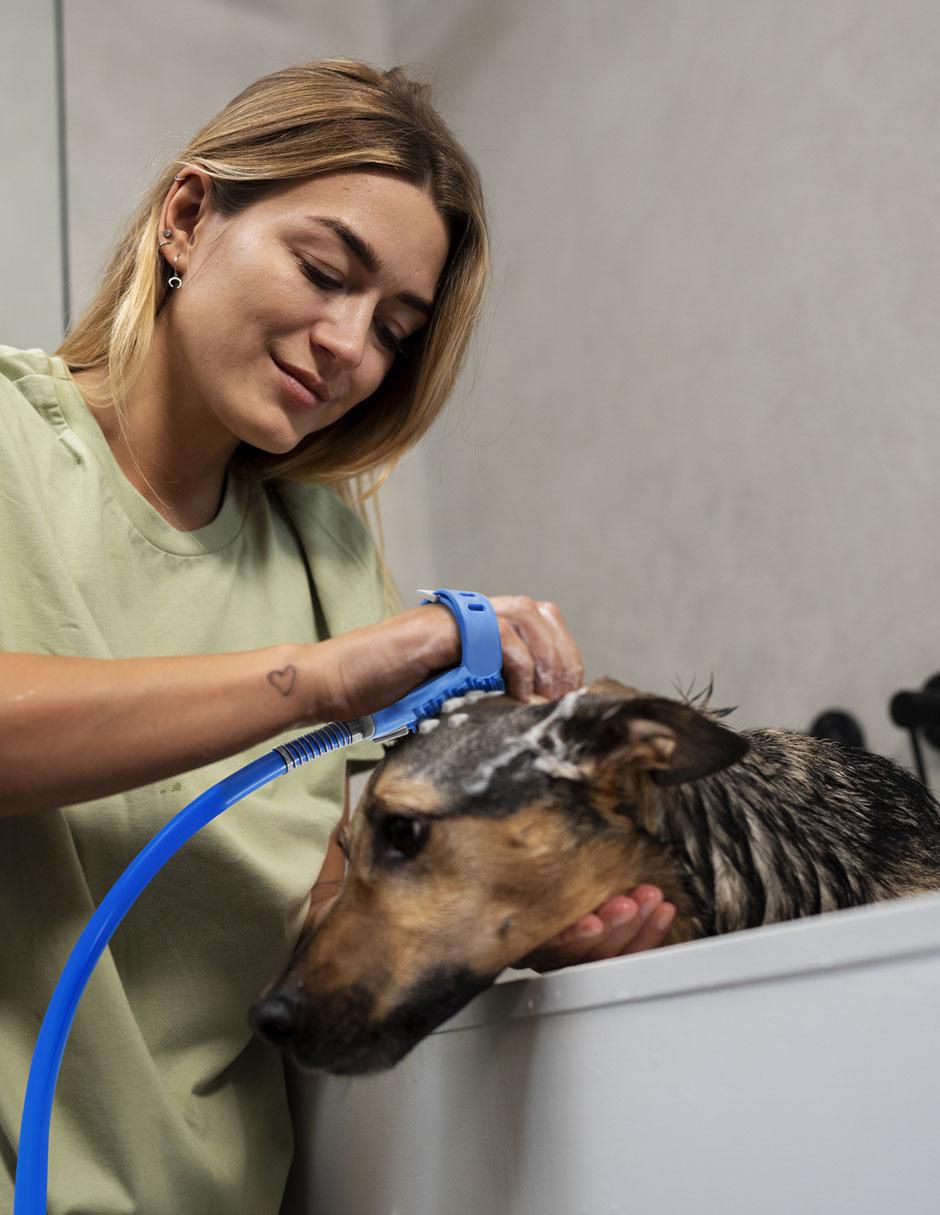 Guante de silicón para mascota 8