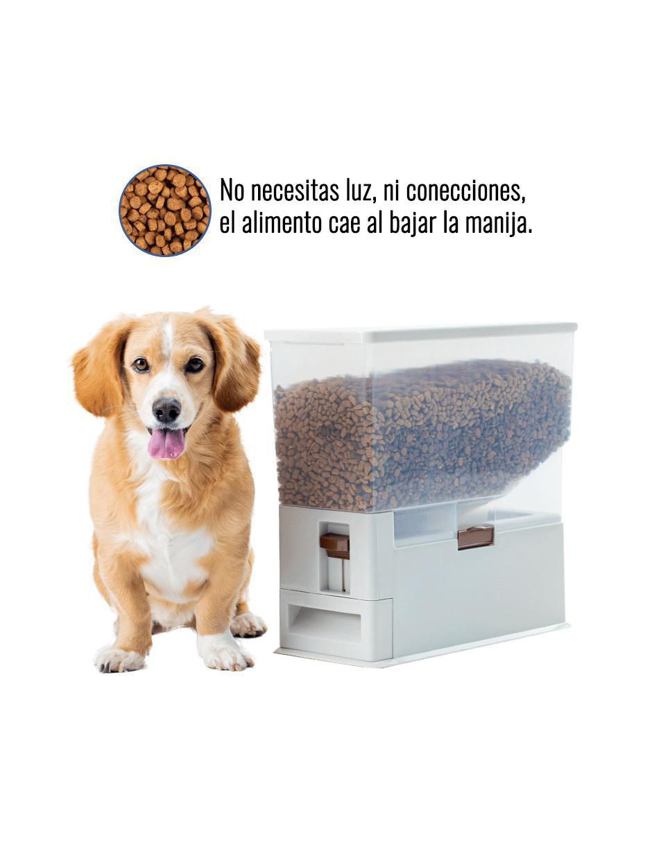 Comedero para perro 2