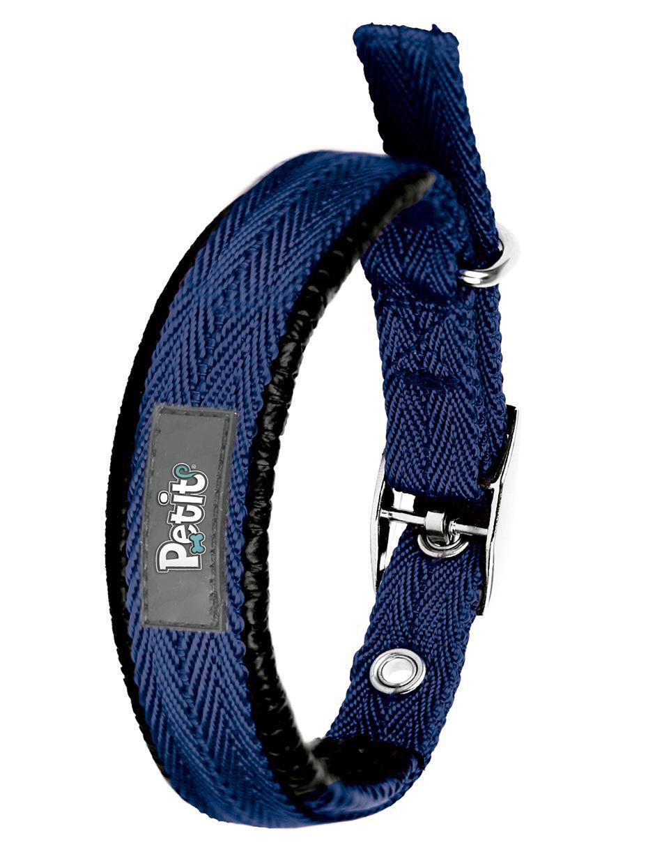 Correa y collar para perro 3