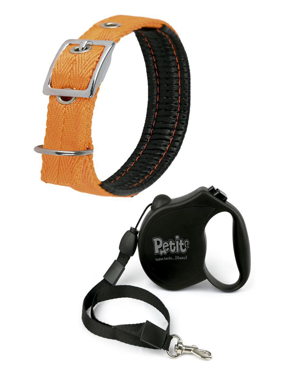 Correa y collar para perro Correa y collar para perro