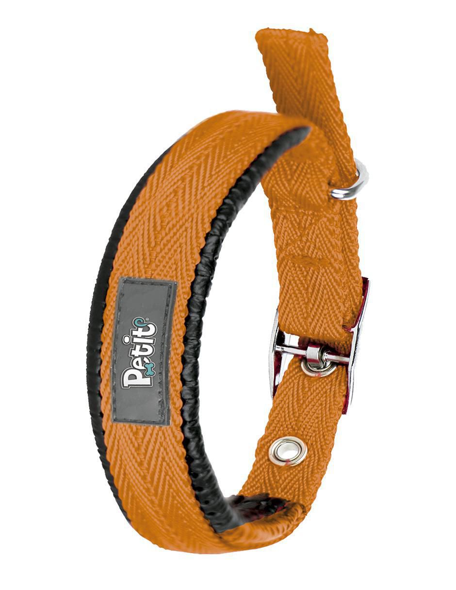 Correa y collar para perro 3